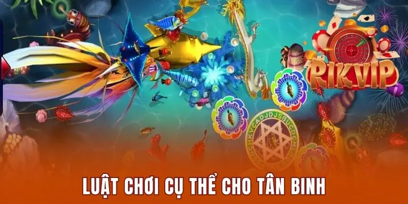Luật chơi cụ thể cho tân binh