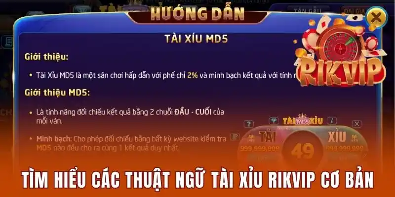 Các Thuật Ngữ Tài Xỉu Rikvip Quan Trọng Nhất Cần Biết 1 Tìm hiểu các thuật ngữ tài xỉu Rikvip cơ bản